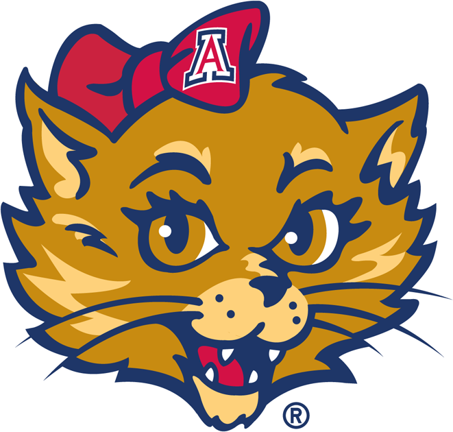 Arizona Wildcats 2003-Pres Mascot Logo v3 iron on transfers for fabric